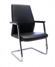 CL3000 V Visitor Chair